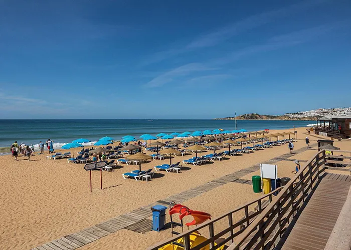 Areyas Pool By Alzira